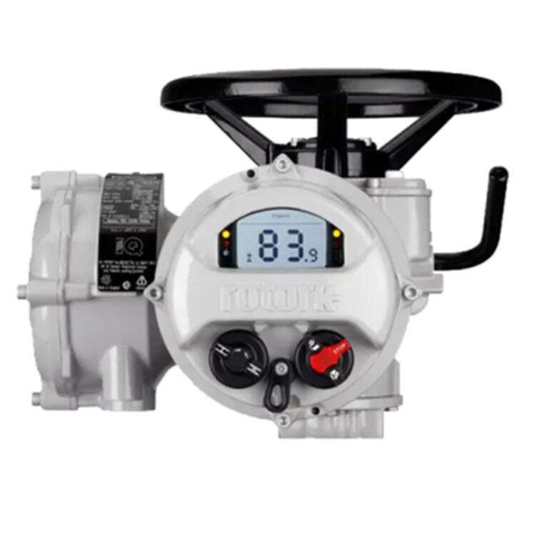 ROTORK多回轉(zhuǎn)羅托克IQ10電動執(zhí)行器閥門電動裝置